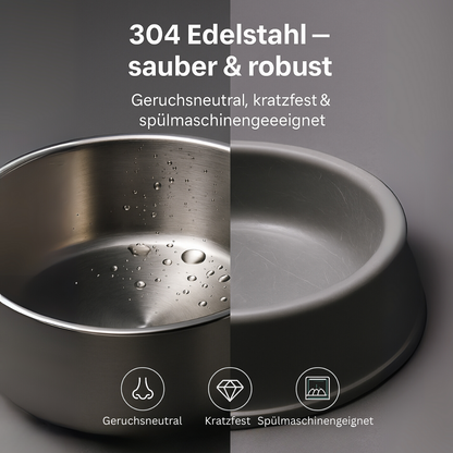 Schütze deinen Vierbeiner vor Dehydration und Nierenproblemen mit Pfotenquelle