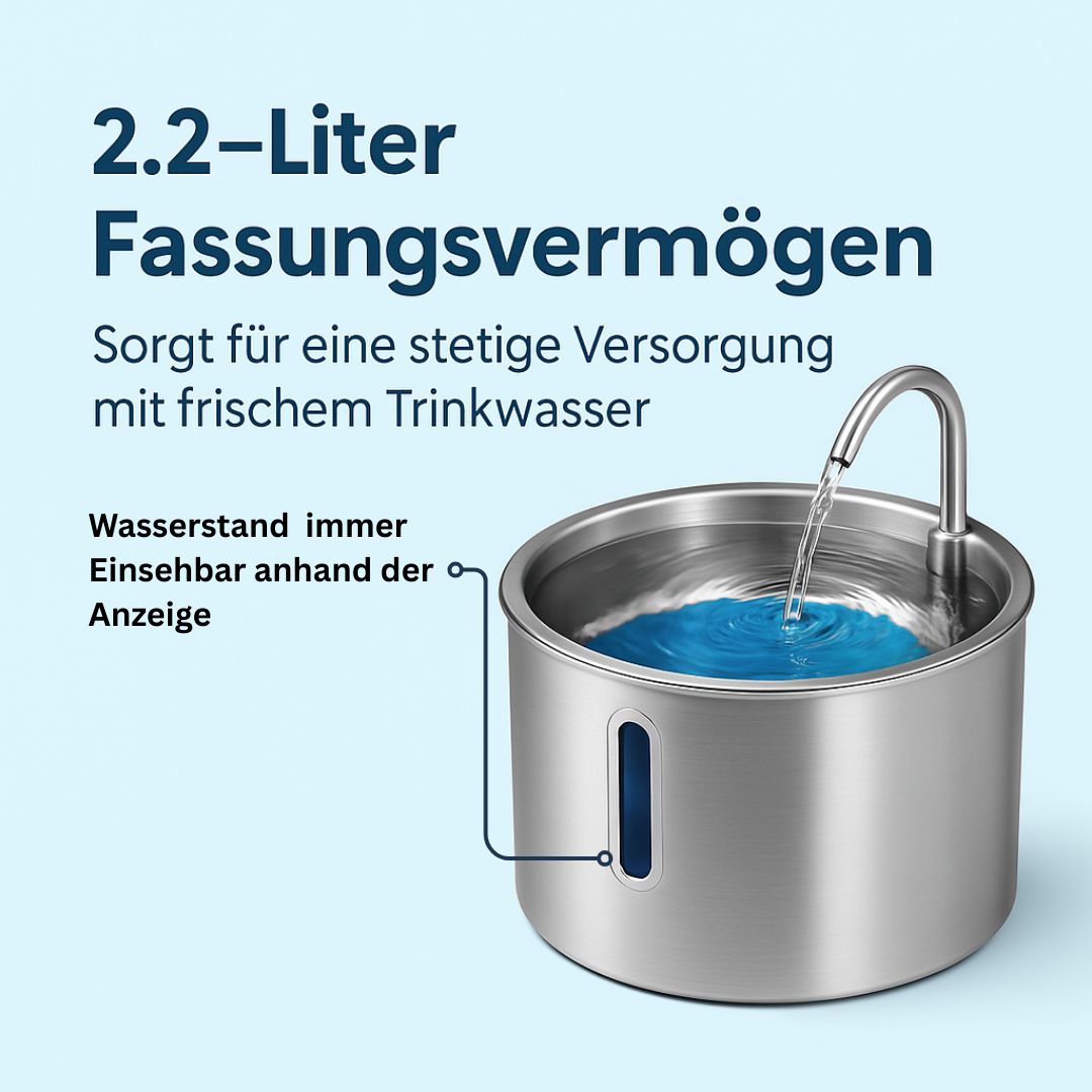 Schütze deinen Vierbeiner vor Dehydration und Nierenproblemen mit Pfotenquelle