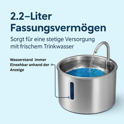Schütze deinen Vierbeiner vor Dehydration und Nierenproblemen mit Pfotenquelle