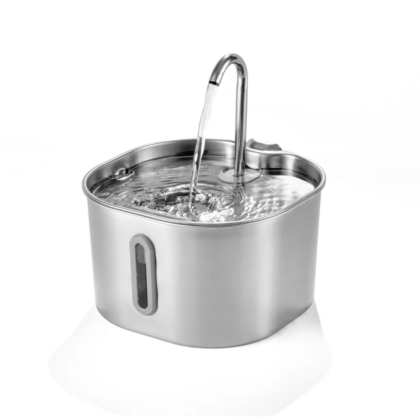 Schütze deinen Vierbeiner vor Dehydration und Nierenproblemen mit Pfotenquelle