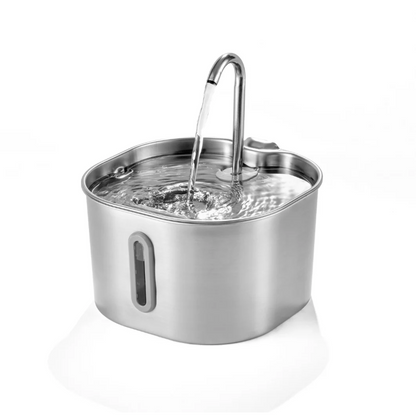 Schütze deinen Vierbeiner vor Dehydration und Nierenproblemen mit Pfotenquelle