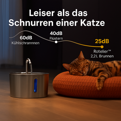 Schütze deinen Vierbeiner vor Dehydration und Nierenproblemen mit Pfotenquelle