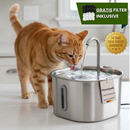 Schütze deinen Vierbeiner vor Dehydration und Nierenproblemen mit Pfotenquelle