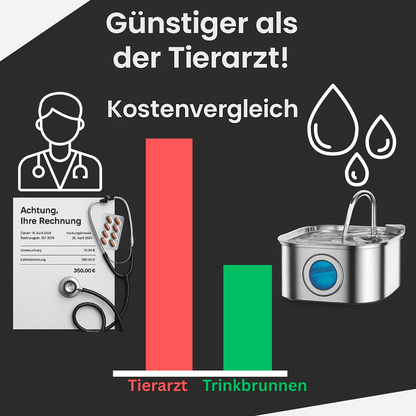 Schütze deinen Vierbeiner vor Dehydration und Nierenproblemen mit Pfotenquelle