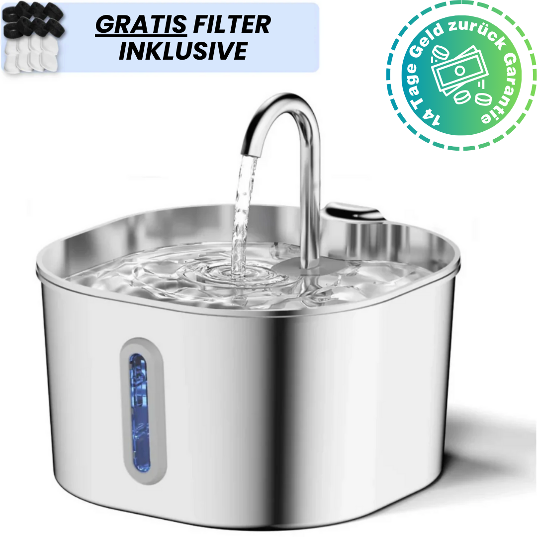 Schütze deinen Vierbeiner vor Dehydration und Nierenproblemen mit Pfotenquelle