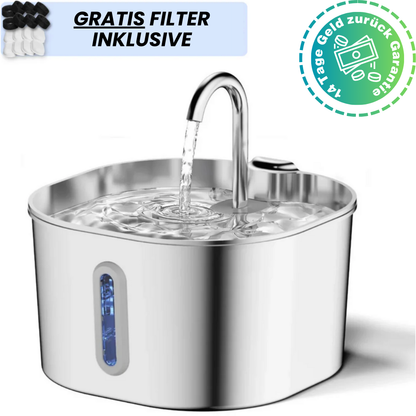 Schütze deinen Vierbeiner vor Dehydration und Nierenproblemen mit Pfotenquelle